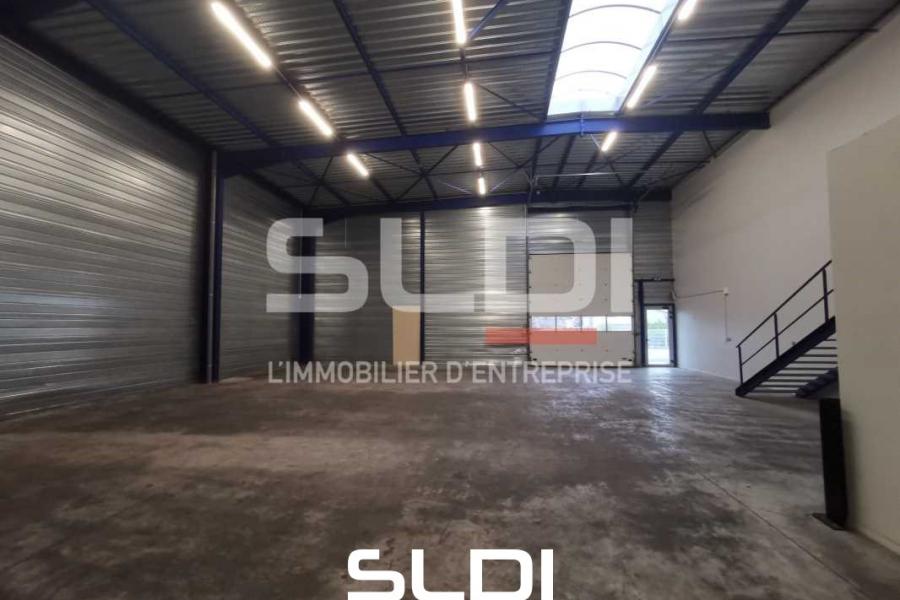 Activités A LOUER - LUZINAY - 481 m²