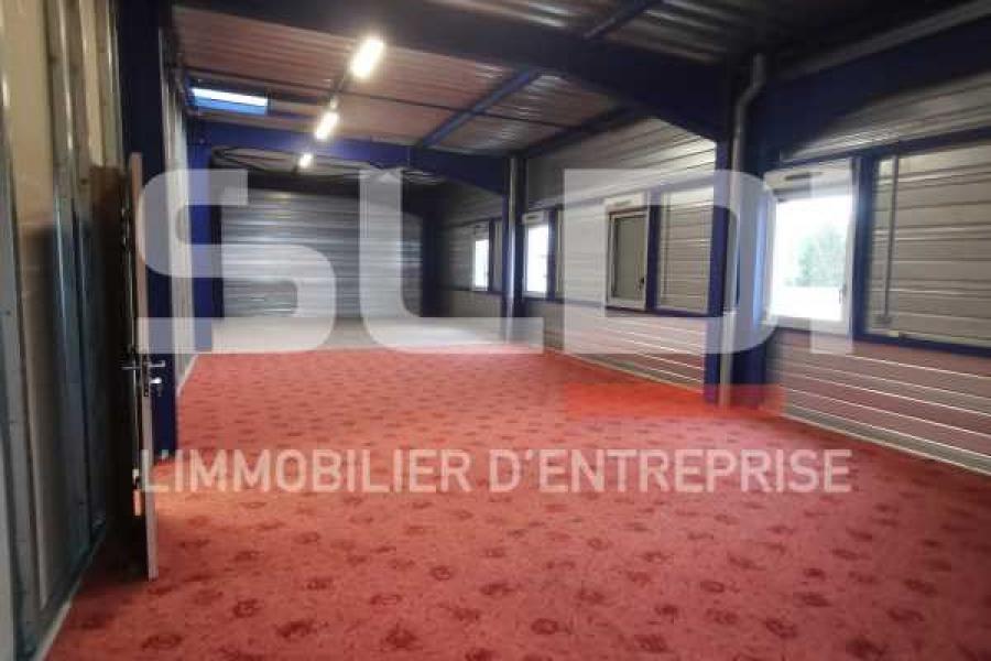 Activités A LOUER - LUZINAY - 481 m²