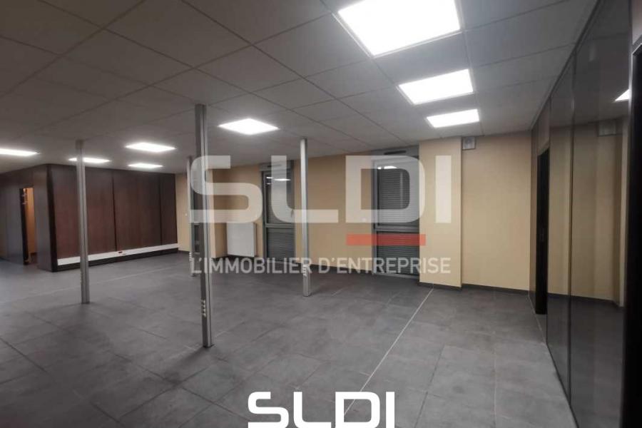 Activités A LOUER - LUZINAY - 481 m²