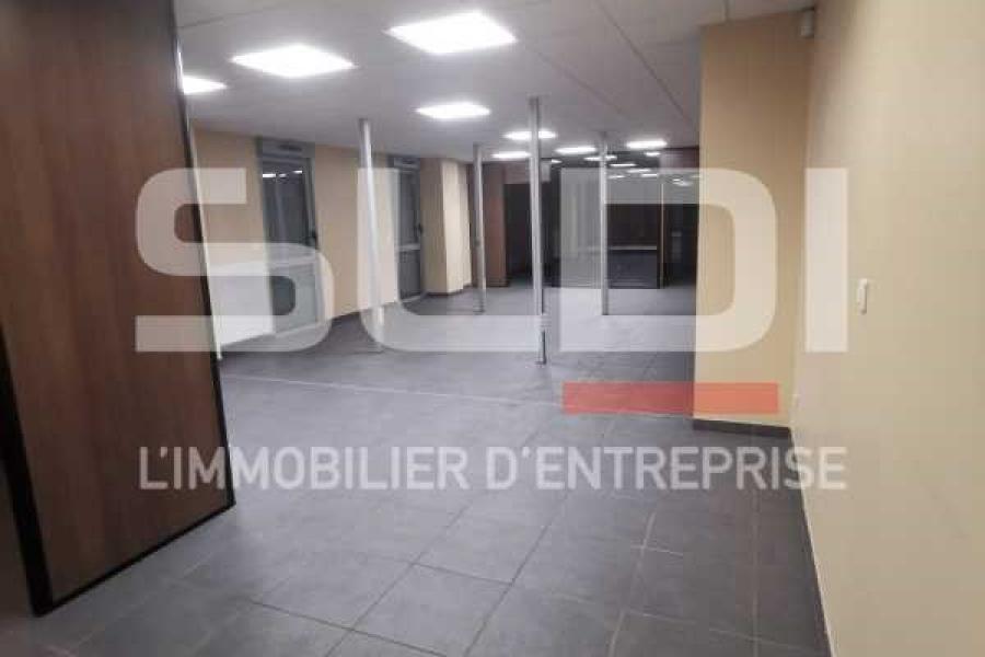 Activités A LOUER - LUZINAY - 481 m²