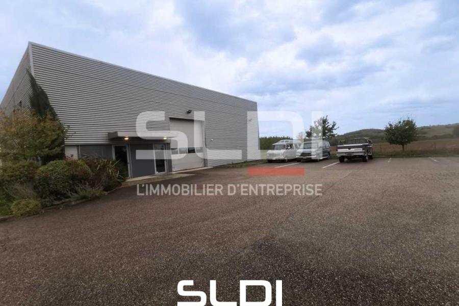 Activités A LOUER - LUZINAY - 481 m²