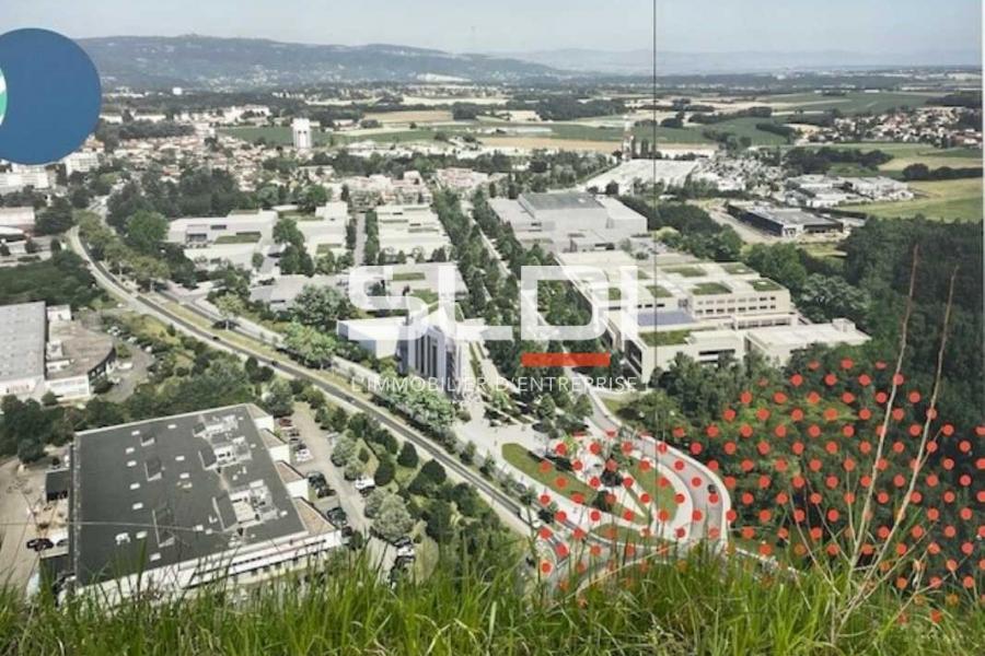 Activités A LOUER - RILLIEUX LA PAPE - 9 591 m²