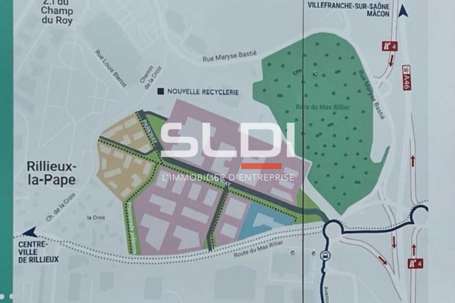 Activités A LOUER - RILLIEUX LA PAPE - 9 591 m²