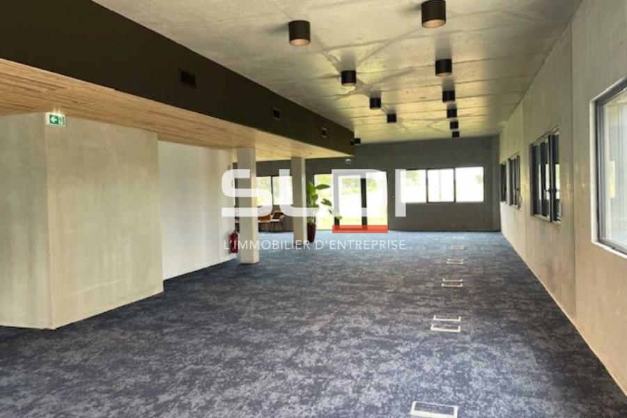 Bureaux A LOUER - RILLIEUX LA PAPE - 366 m²