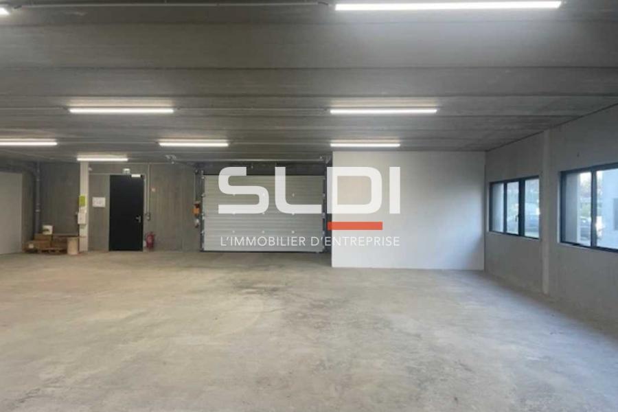 Activités A LOUER - RILLIEUX LA PAPE - 382 m²