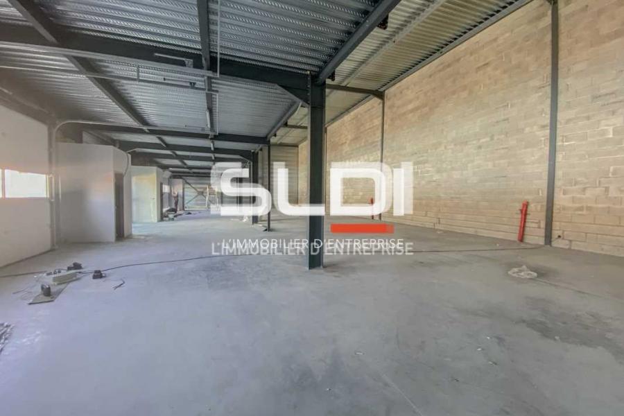 Activités A LOUER - MIONS - 154 m²