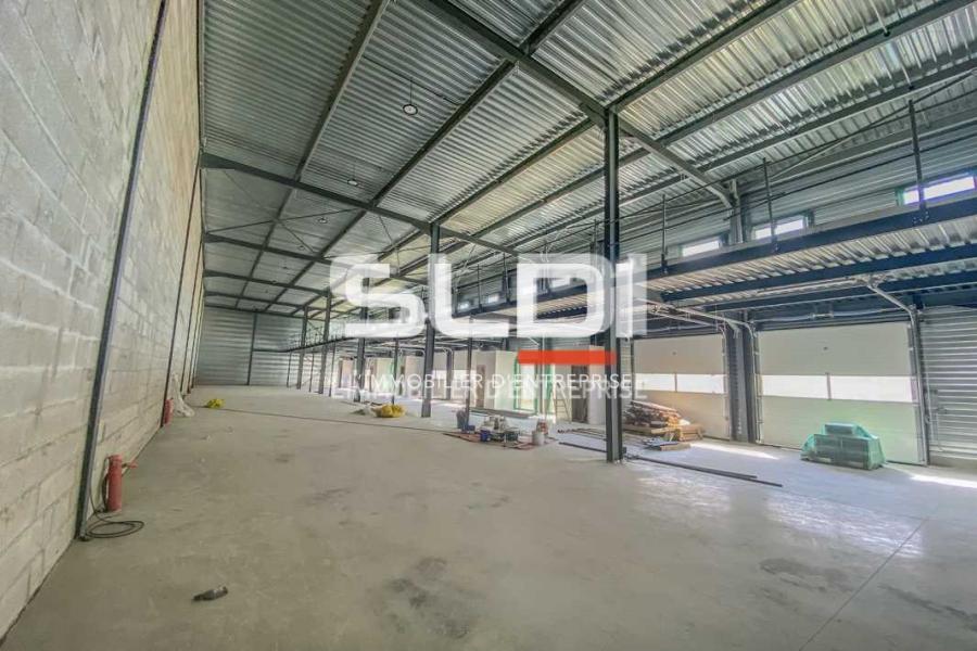 Activités A LOUER - MIONS - 154 m²