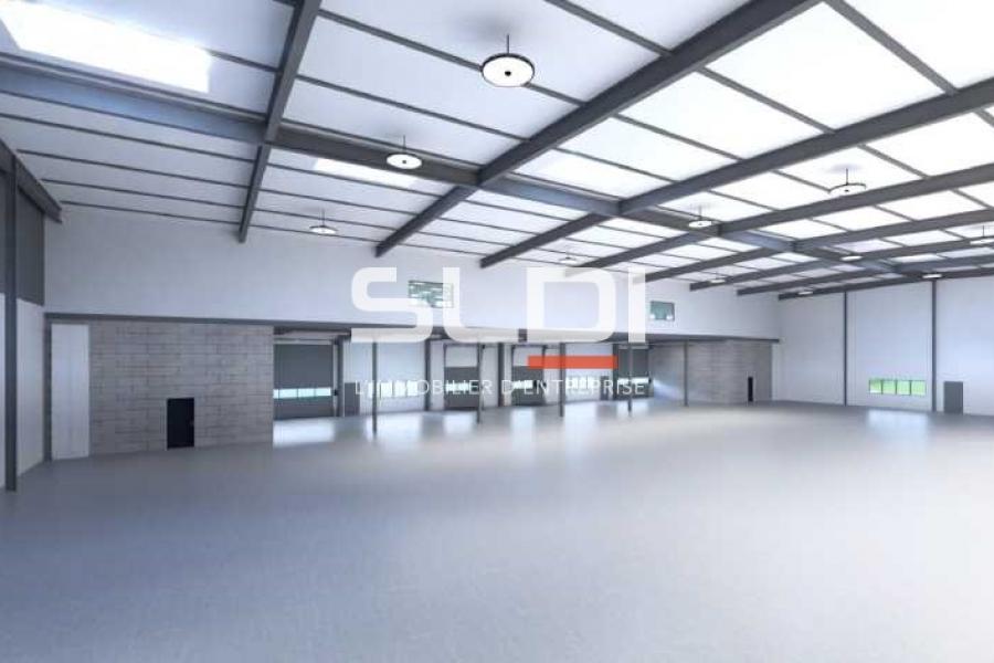 Activités A LOUER - DECINES CHARPIEU - 2 256 m²
