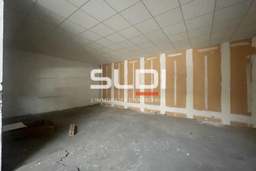 Activités A VENDRE - VILLEURBANNE - 3 350 m²