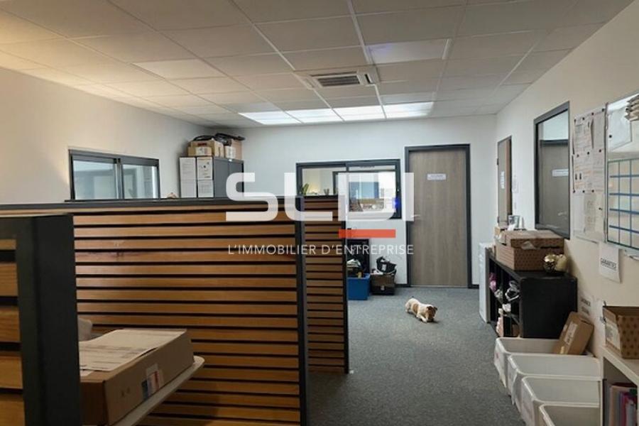 Activités A VENDRE OU A LOUER - DECINES CHARPIEU - 534 m² Activités A VENDRE OU A LOUER - DECINES CHARPIEU - 534 m²