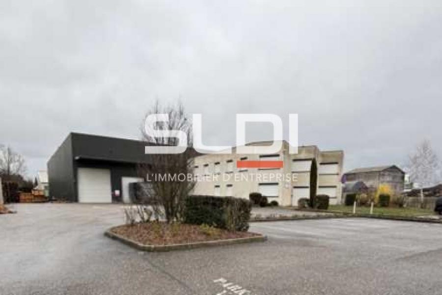 Activités A VENDRE - MORNANT - 2 200 m²