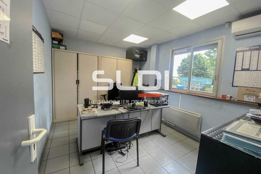 Activités A LOUER - DAGNEUX - 614 m²