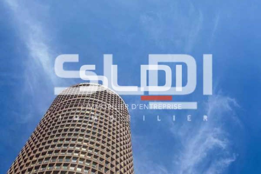 Bureaux A LOUER - LYON - 217 m²