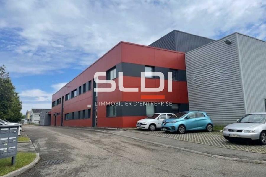 Activités A LOUER - RILLIEUX LA PAPE - 256 m²