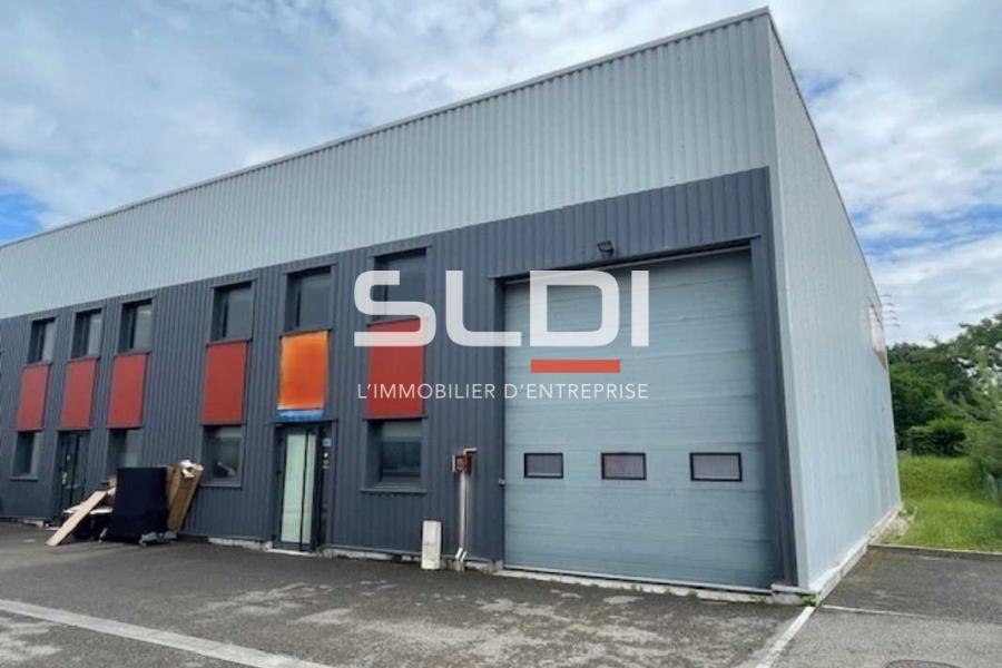 Activités A LOUER - RILLIEUX LA PAPE - 256 m²