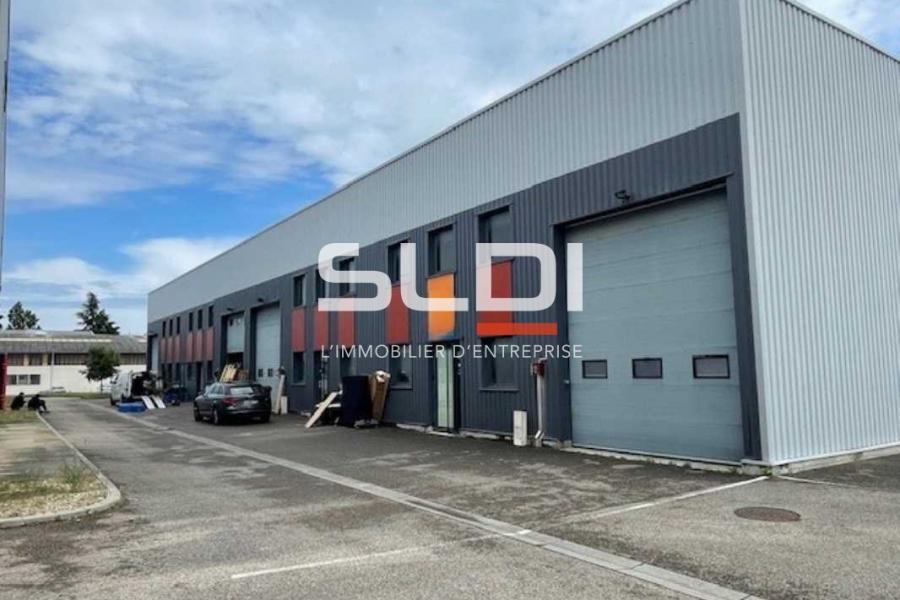 Activités A LOUER - RILLIEUX LA PAPE - 256 m²