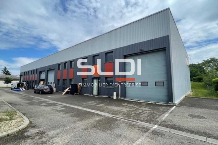Activités A LOUER - RILLIEUX LA PAPE - 256 m²