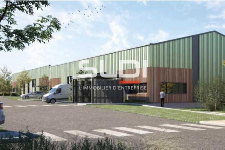 Activités A LOUER - RILLIEUX LA PAPE - 285 m²