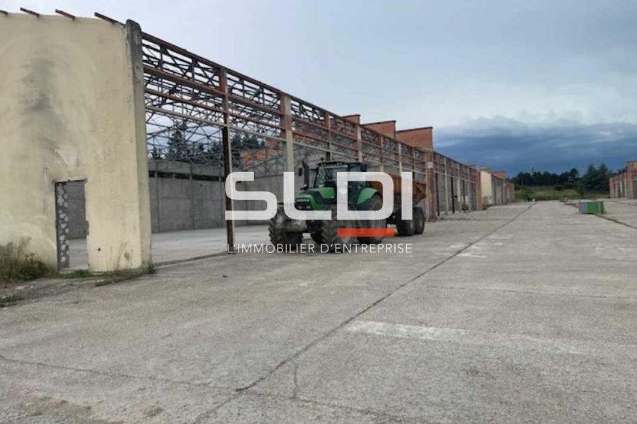 Activités A LOUER - RILLIEUX LA PAPE - 285 m²