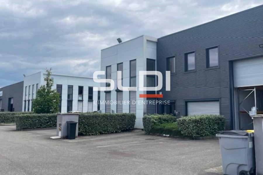 Activités A VENDRE OU A LOUER - VENISSIEUX - 731 m²