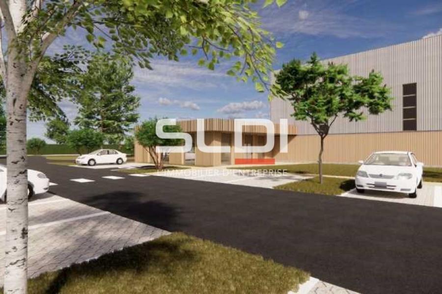 Activités A LOUER - RILLIEUX LA PAPE - 3 278 m²