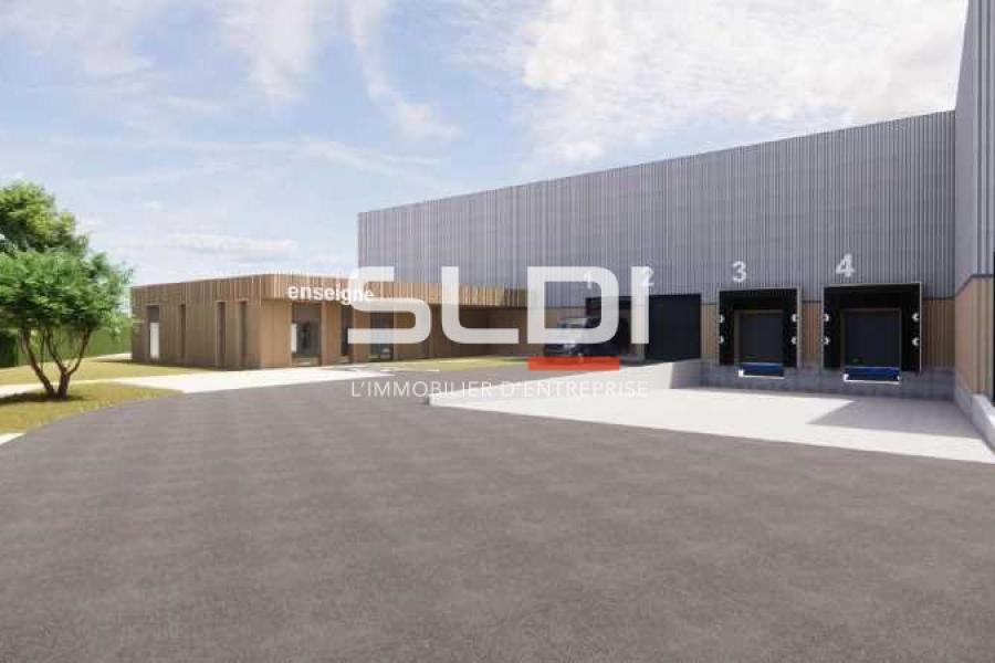 Activités A LOUER - RILLIEUX LA PAPE - 3 278 m²