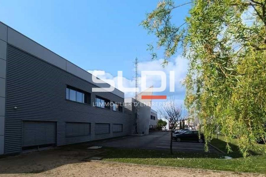 Activités A VENDRE - DECINES CHARPIEU - 2 100 m²