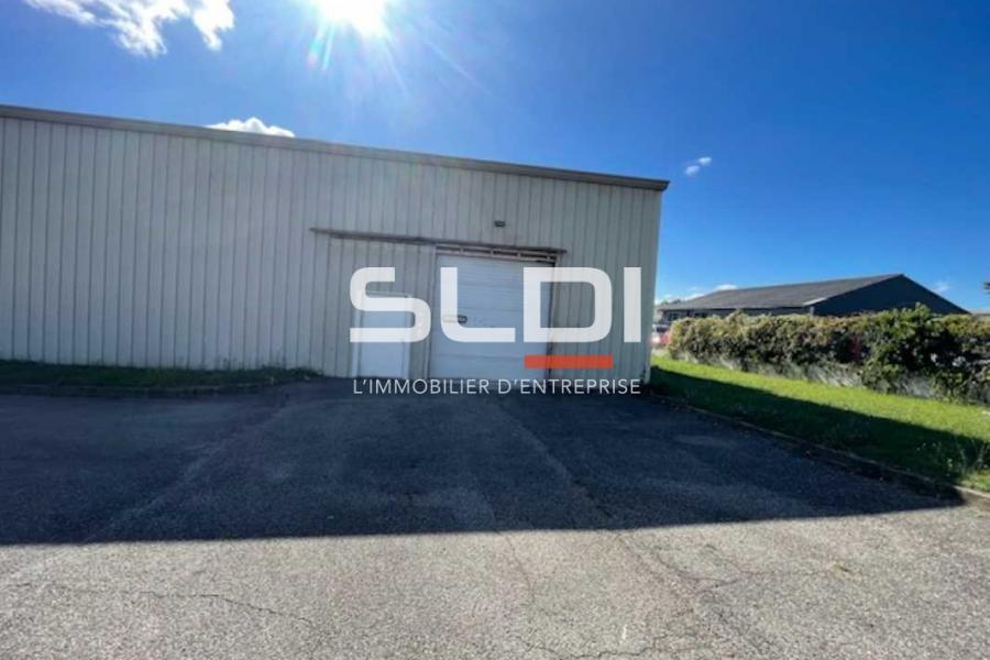 Activités A LOUER - BEYNOST - 260 m²