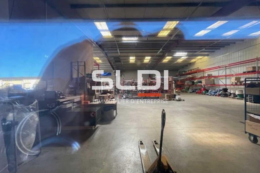 Activités A LOUER - BEYNOST - 260 m²