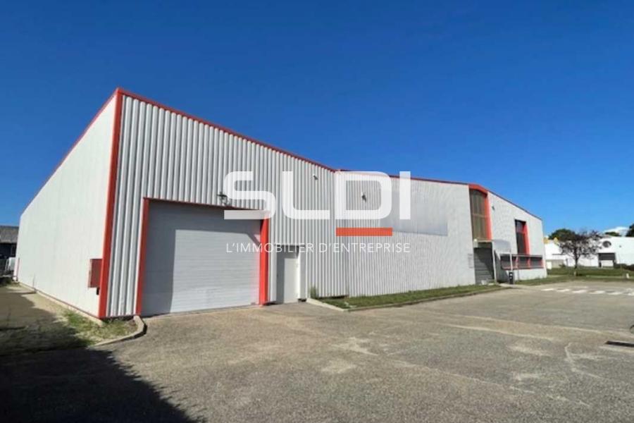 Activités A LOUER - BEYNOST - 260 m²