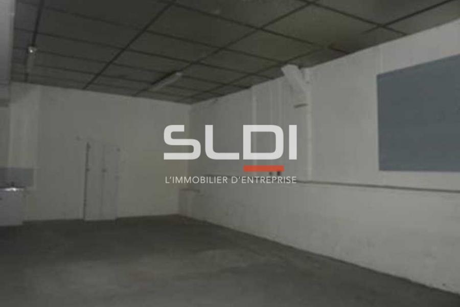 Activités A LOUER - FLEURIEU SUR SAONE - 397 m²