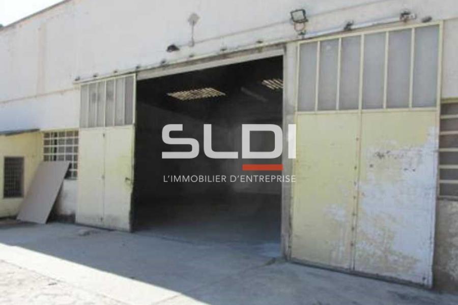 Activités A LOUER - FLEURIEU SUR SAONE - 397 m²
