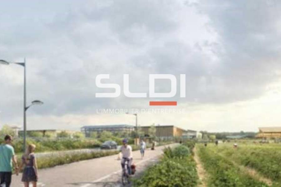 Activités A VENDRE - ALBON - 10 000 m²