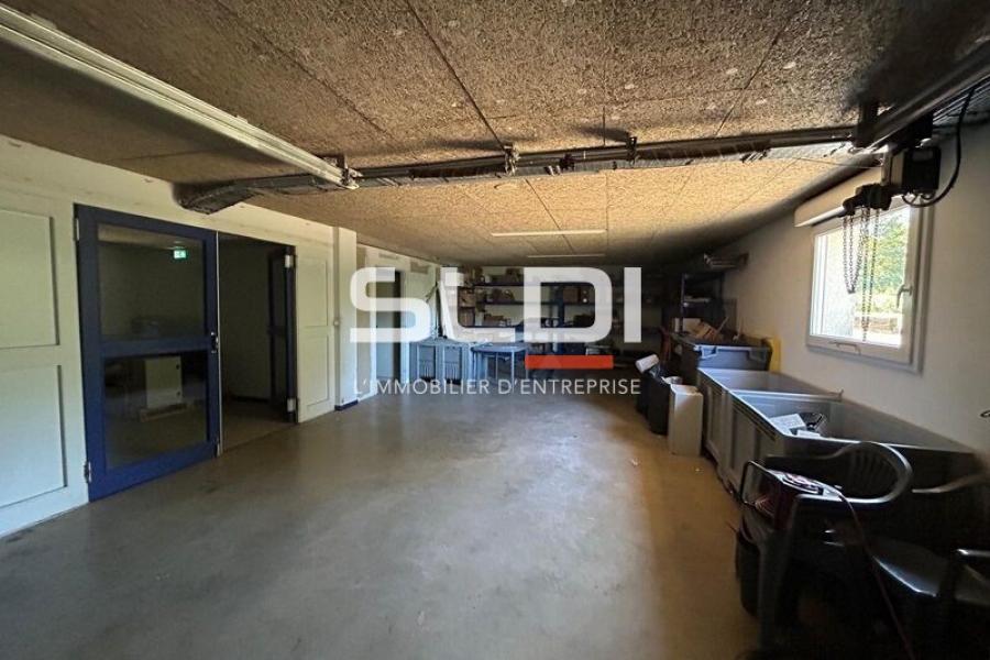 Activités A VENDRE - DARDILLY - 522 m²