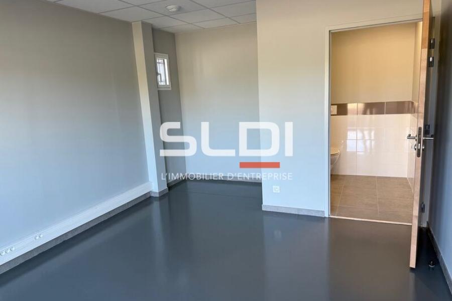 Activités A LOUER - LUZINAY - 420 m²