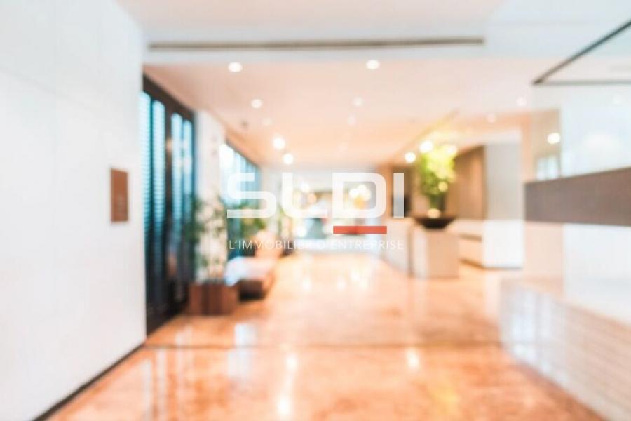 Activités A VENDRE - VAULX MILIEU - 446 m²