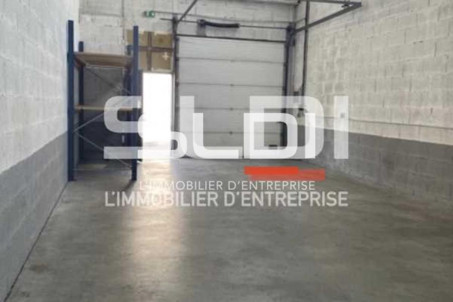 PARC PRESSENSE PARC PRESSENSE