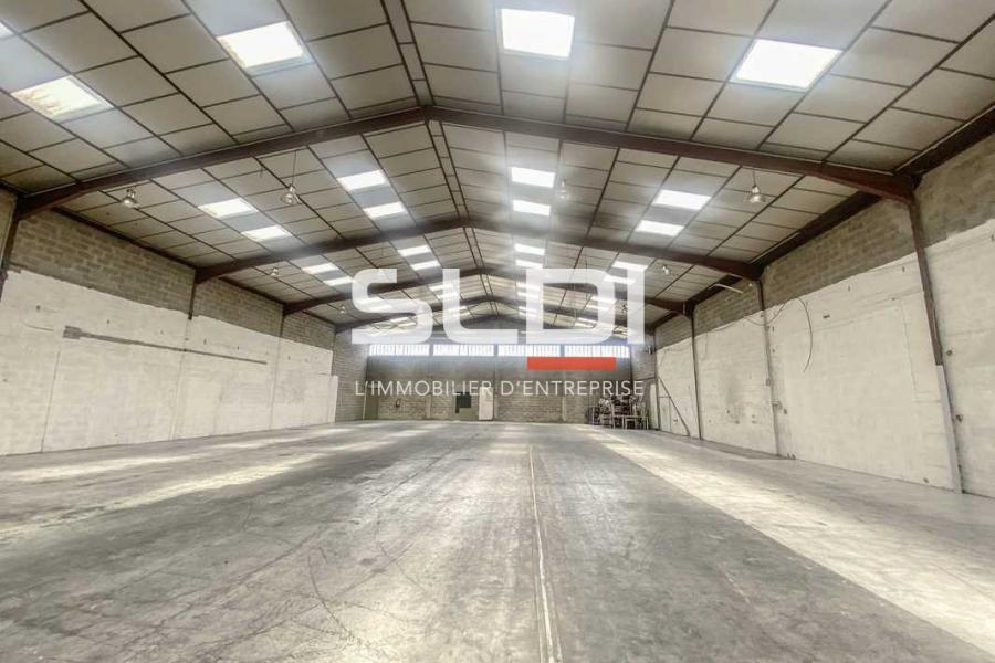 Activités A LOUER - DECINES CHARPIEU - 1 000 m²