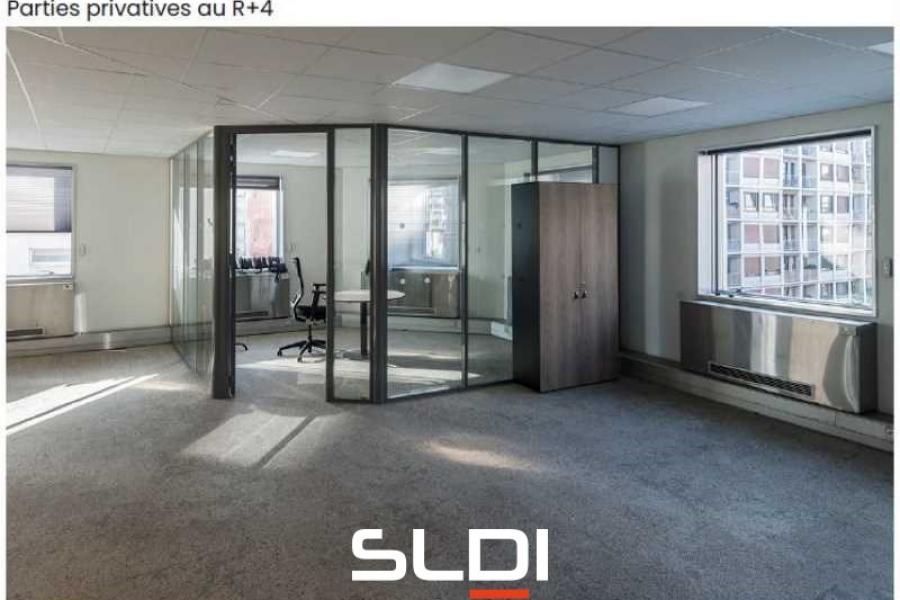 Bureaux VENTE DE MURS OCCUPES - LYON - 4 109 m²