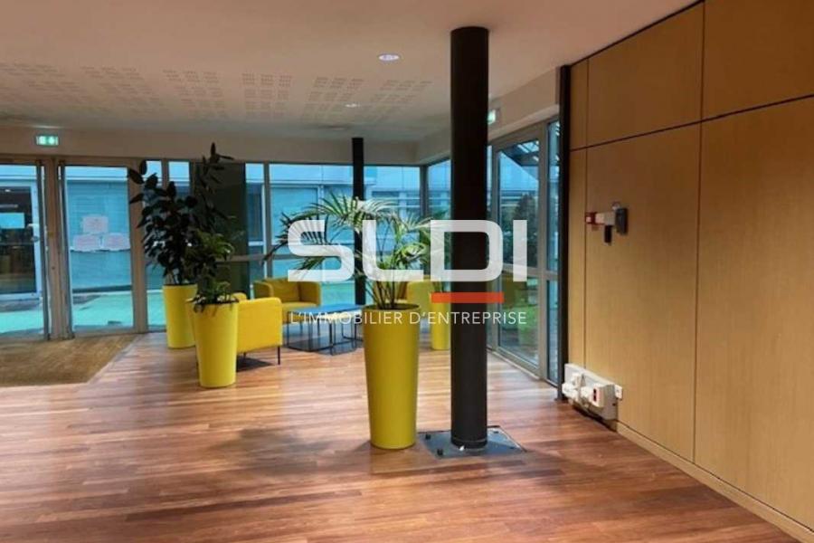 Bureaux A LOUER - ECULLY - 912 m²