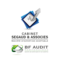 Logo du groupe Expert comptable segaud et associés à CALUIRE ET CUIRE